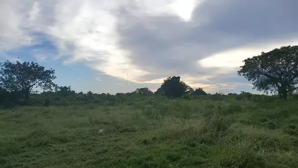 solares y terrenos - Solar / terreno de 150,000 metros en la Ecológica con Autovia de Samaná 2