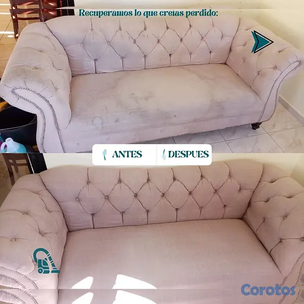 servicios profesionales - Servicio profesional de limpieza de mobiliarios. 2
