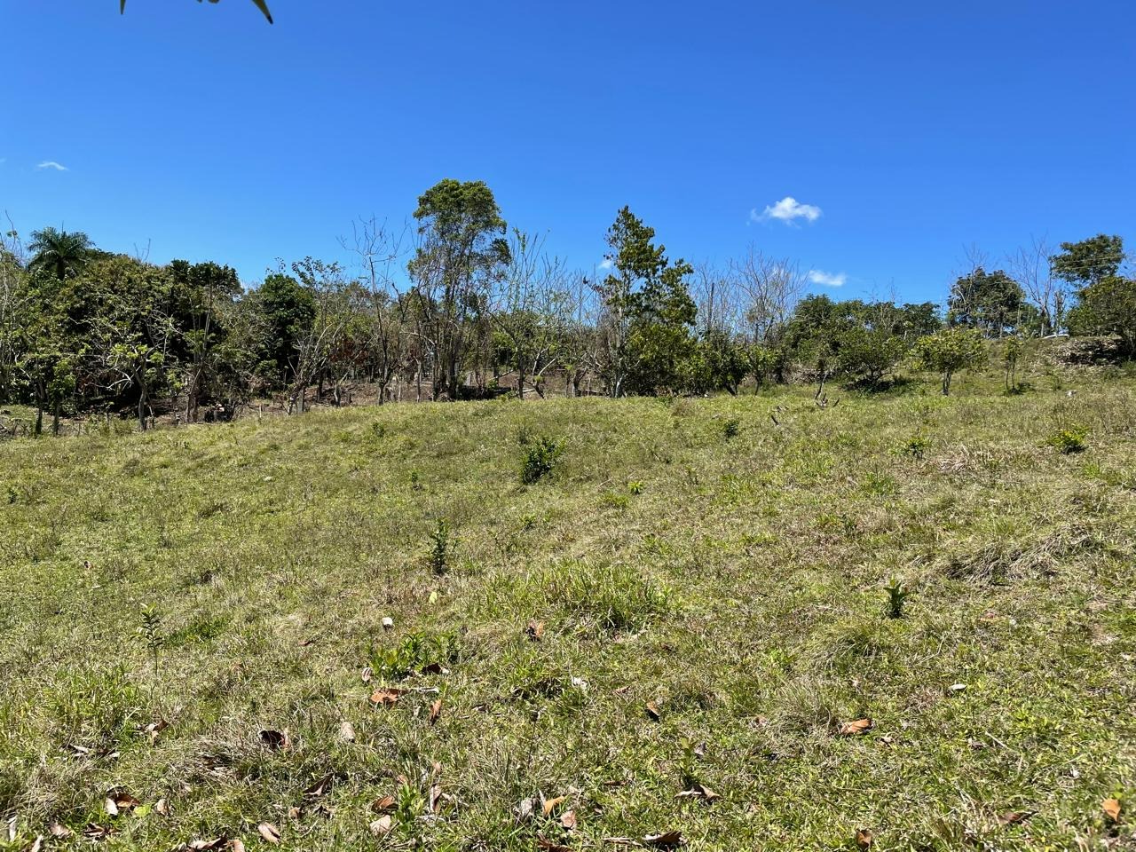 solares y terrenos - Se Vende Terreno en Pedro Garcia, Santiago 1