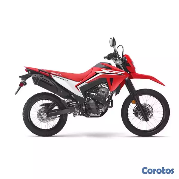 motores y pasolas - HONDA XR-300L 4