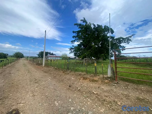 solares y terrenos - finca de 3600 tareas llanas de ganadería en cotui  8