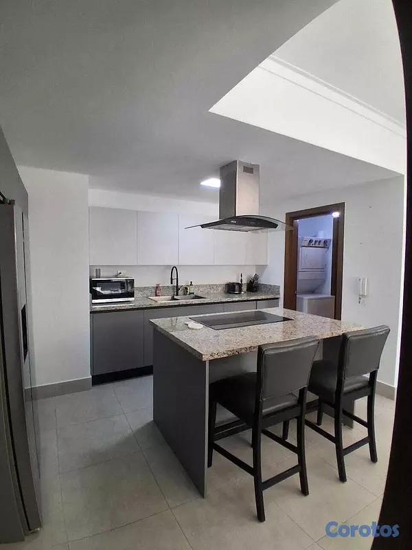 apartamentos - Apartamento Amueblado en piantini    US$ 3000  5