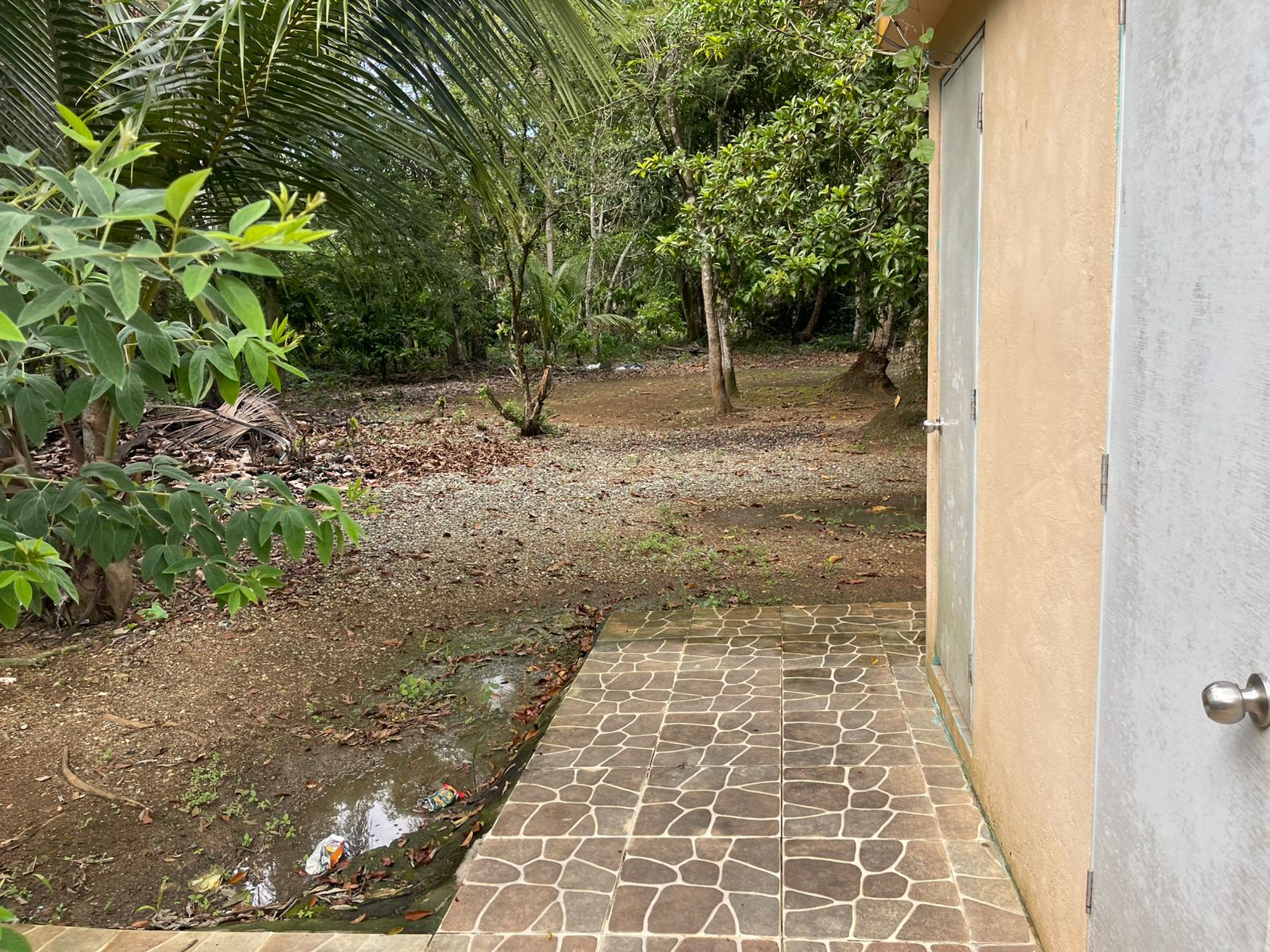 solares y terrenos - Finca de 112 tareas, con Villa: 2 CASAS+ PISCINA + AREA JUEGOS, MONTE PLATA 6