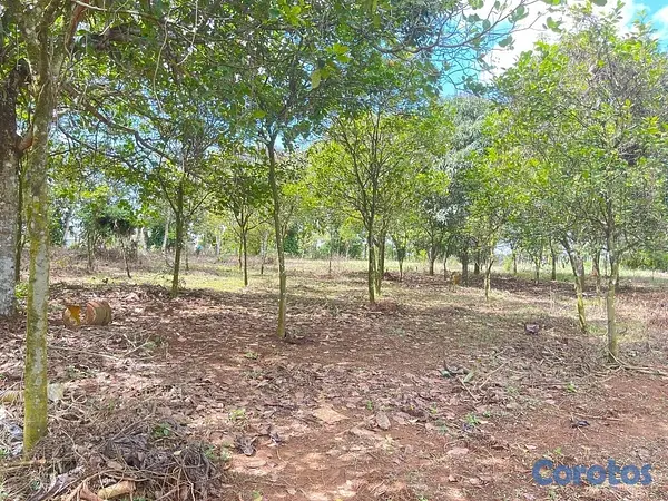 solares y terrenos - Oportunidad: Terreno 3,323 m² con Título en Don Juan, Monte Plata 9