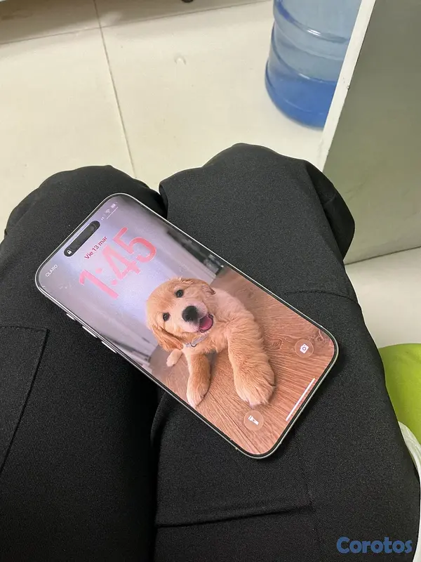 celulares y tabletas - 256GB iPhone 16 Pro Max 3