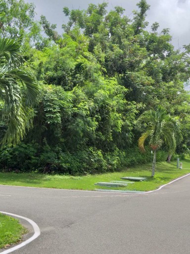 solares y terrenos - Solar en Venta de 694 Metros en Athletic Fields, Playa Nueva Romana 1