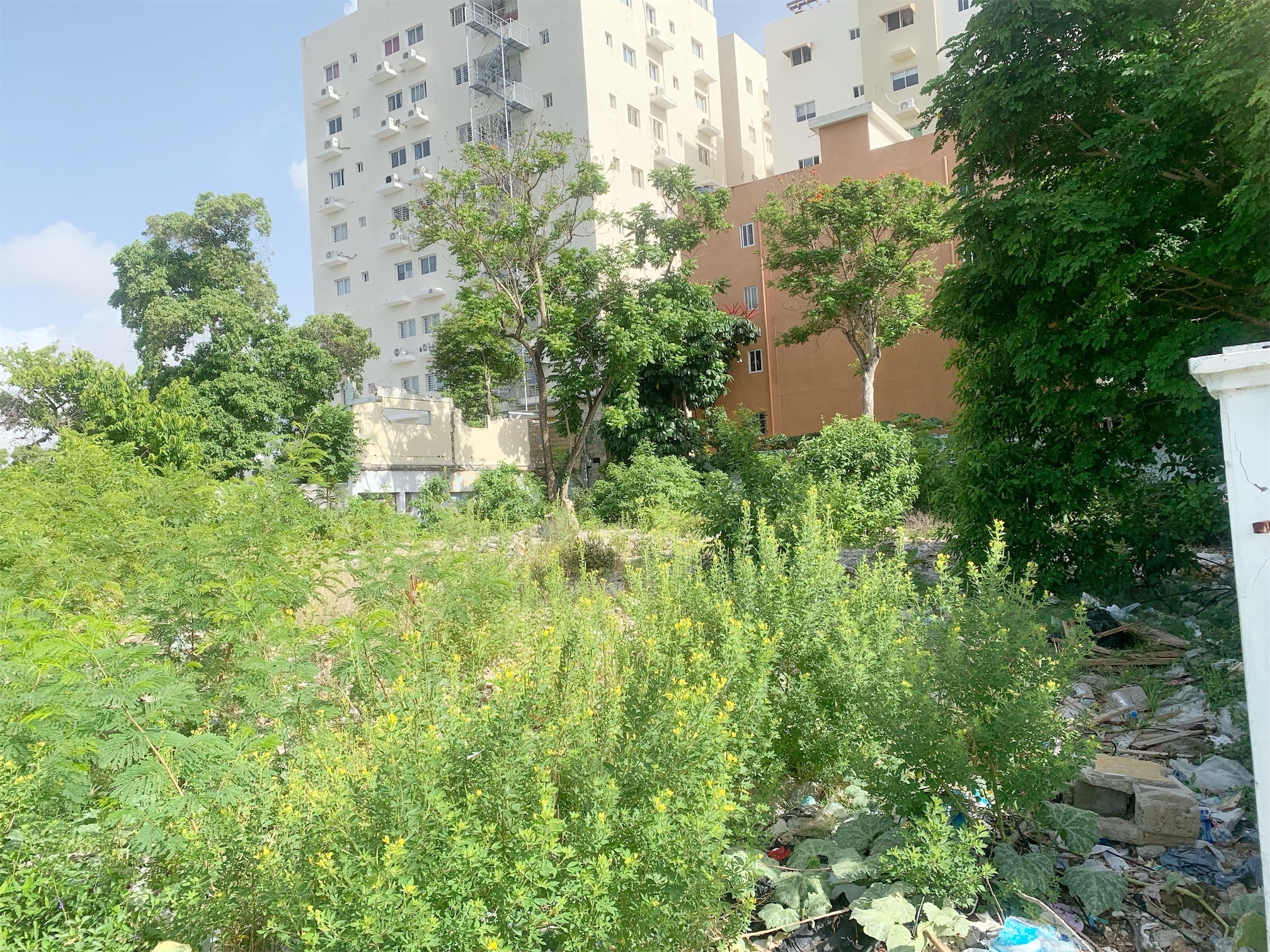 solares y terrenos - Solar comercial o residencial esquinero 4