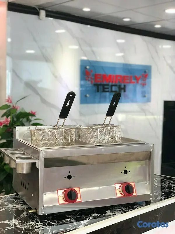 equipos profesionales - Freidora de gas de doble envase de 10 litros con escurridora para papa pollo 2