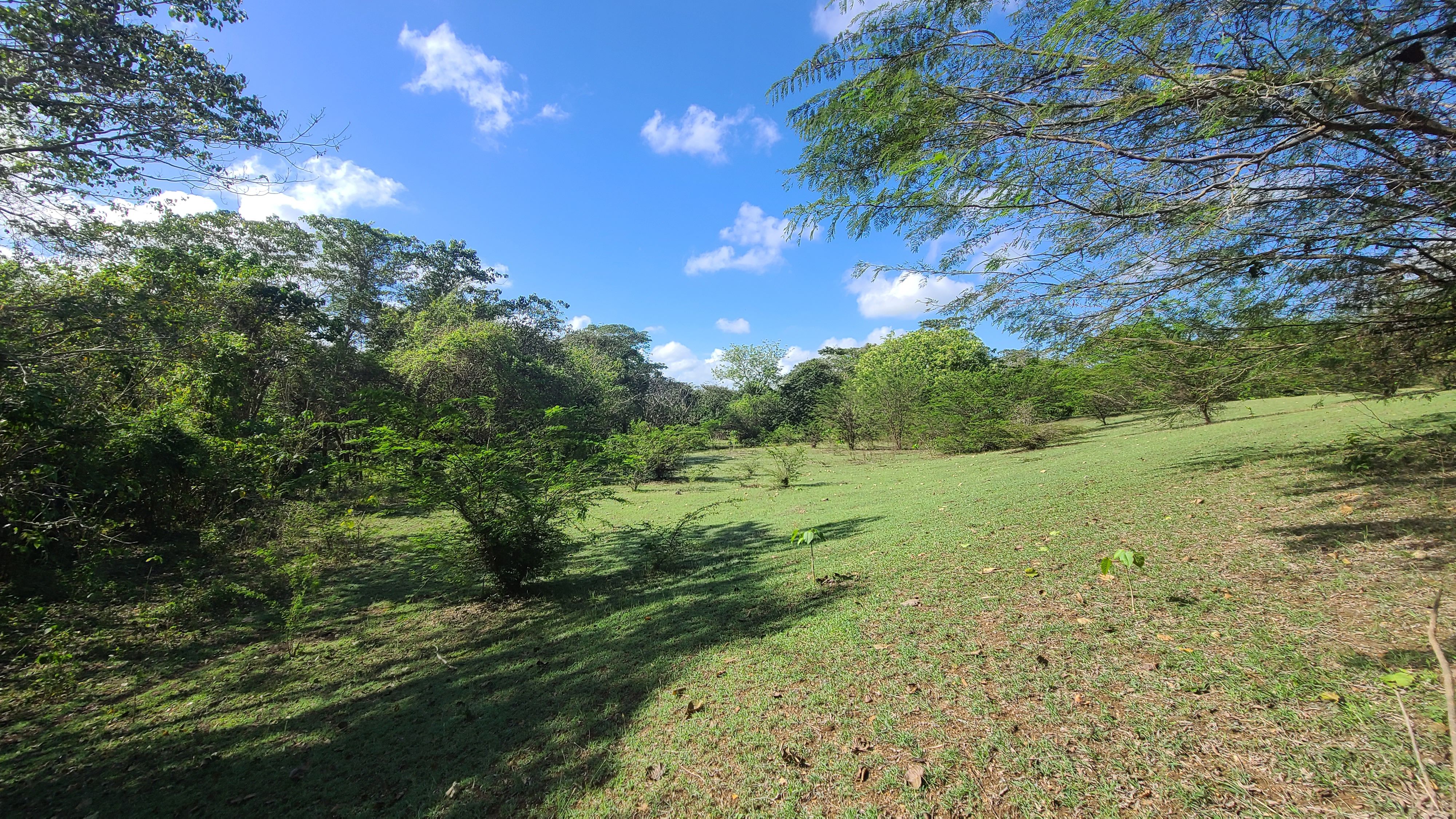 solares y terrenos - Terrenos en Venta, Quisqueya 9