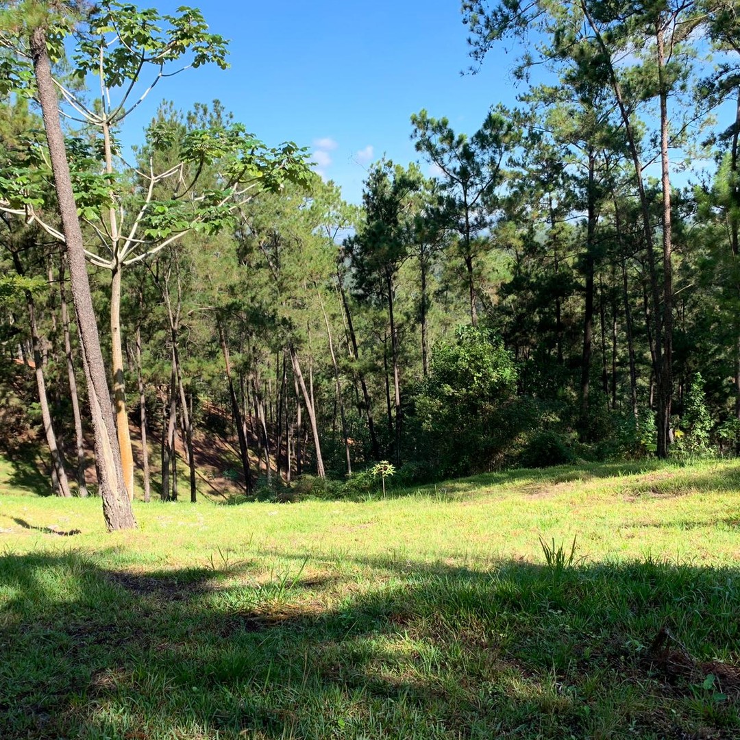 solares y terrenos - Terreno Disponible en Monte Bonito, Jarabacoa  5