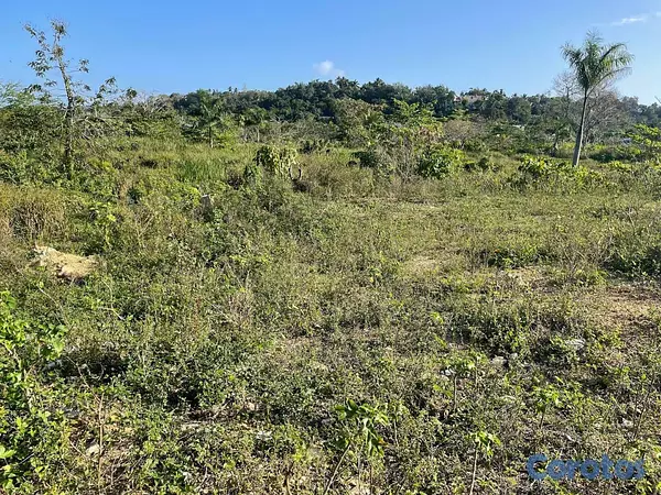 solares y terrenos - Terreno en venta Manoguayabo 9