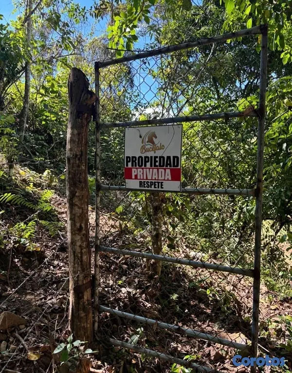 solares y terrenos - Finca en Venta Rancho Arriba  2