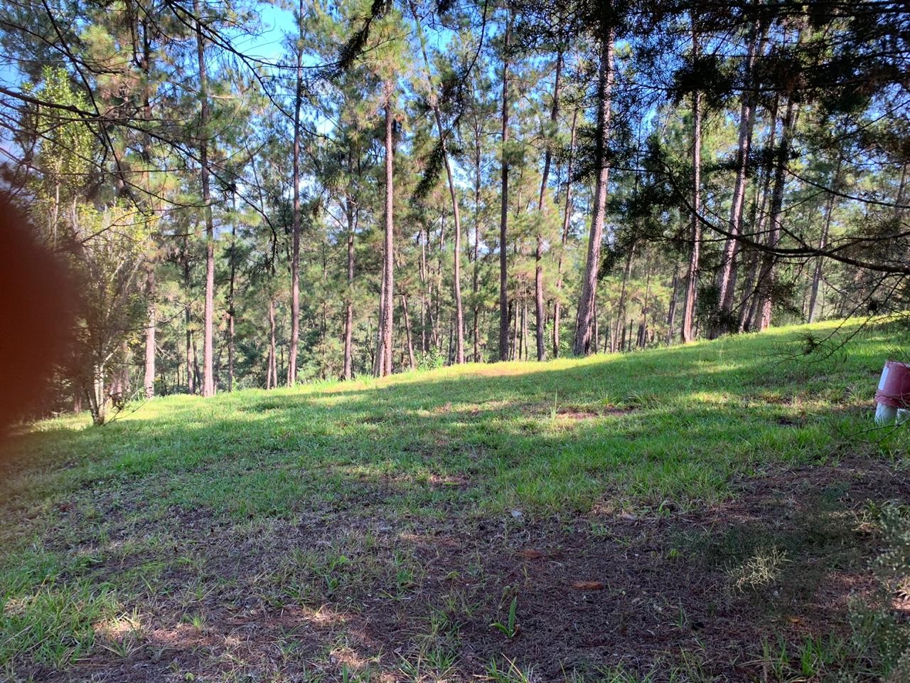 solares y terrenos - Terreno Disponible en Monte Bonito, Jarabacoa  2