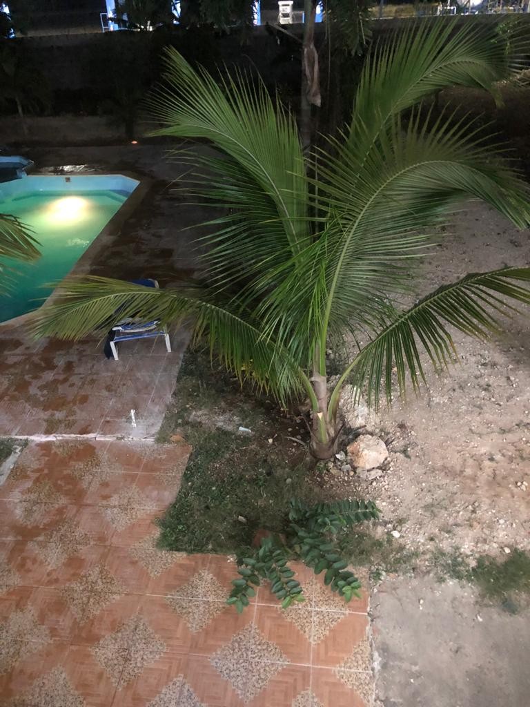 casas vacacionales y villas - Villa en venta con 3 edificaciones en Juan dolio 7