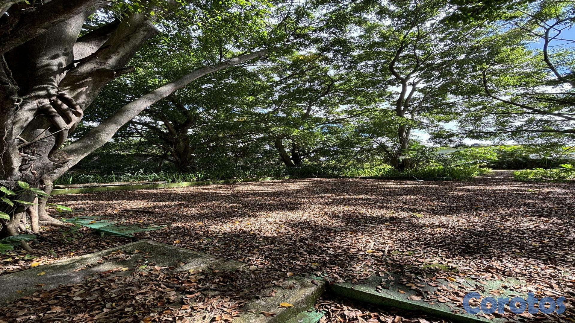 solares y terrenos - Venta de Terrenos KM 25 Autopista Duarte 5