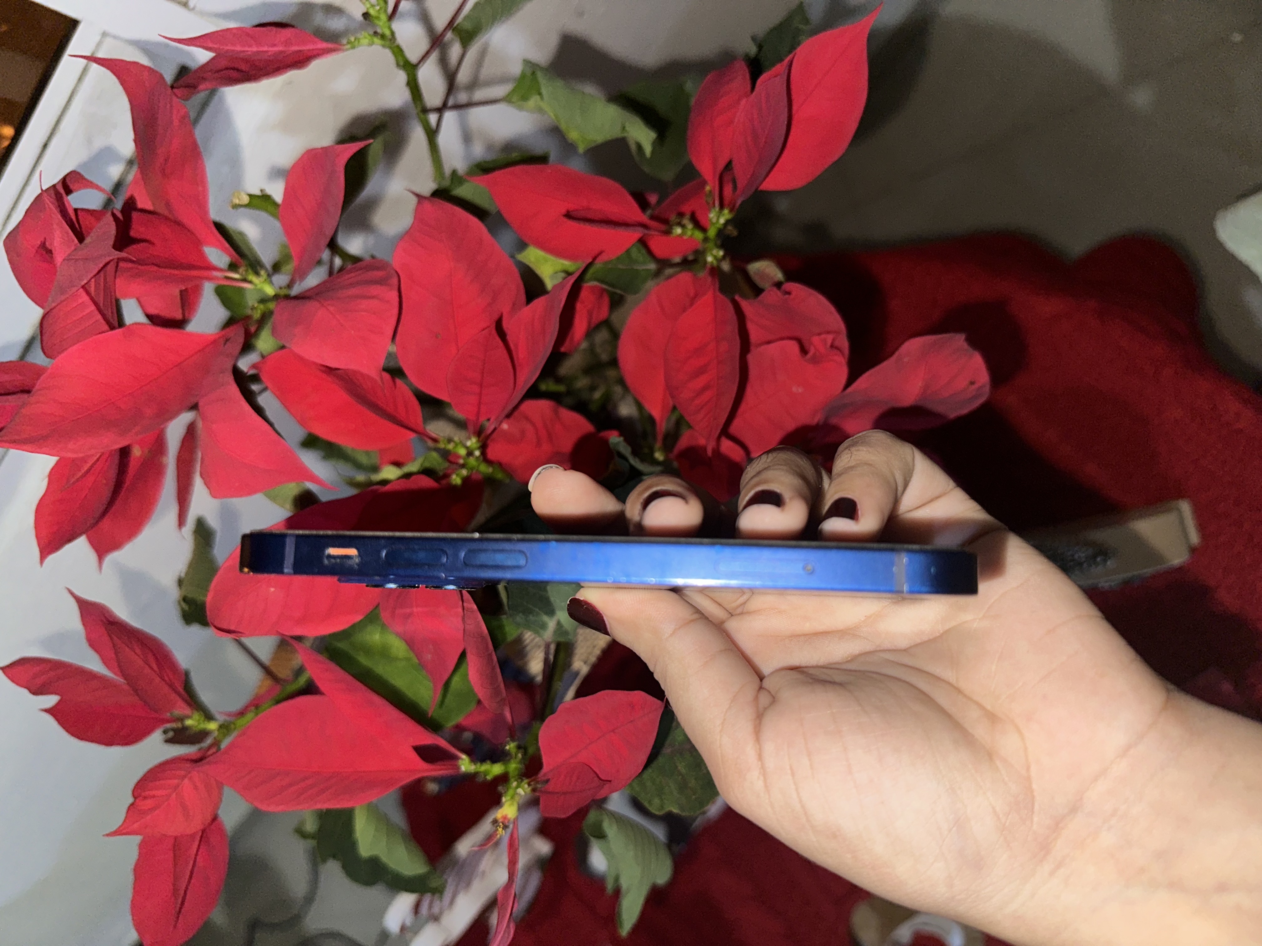 celulares y tabletas - se vende iPhone 12 mini (64gb) precio negociable 3