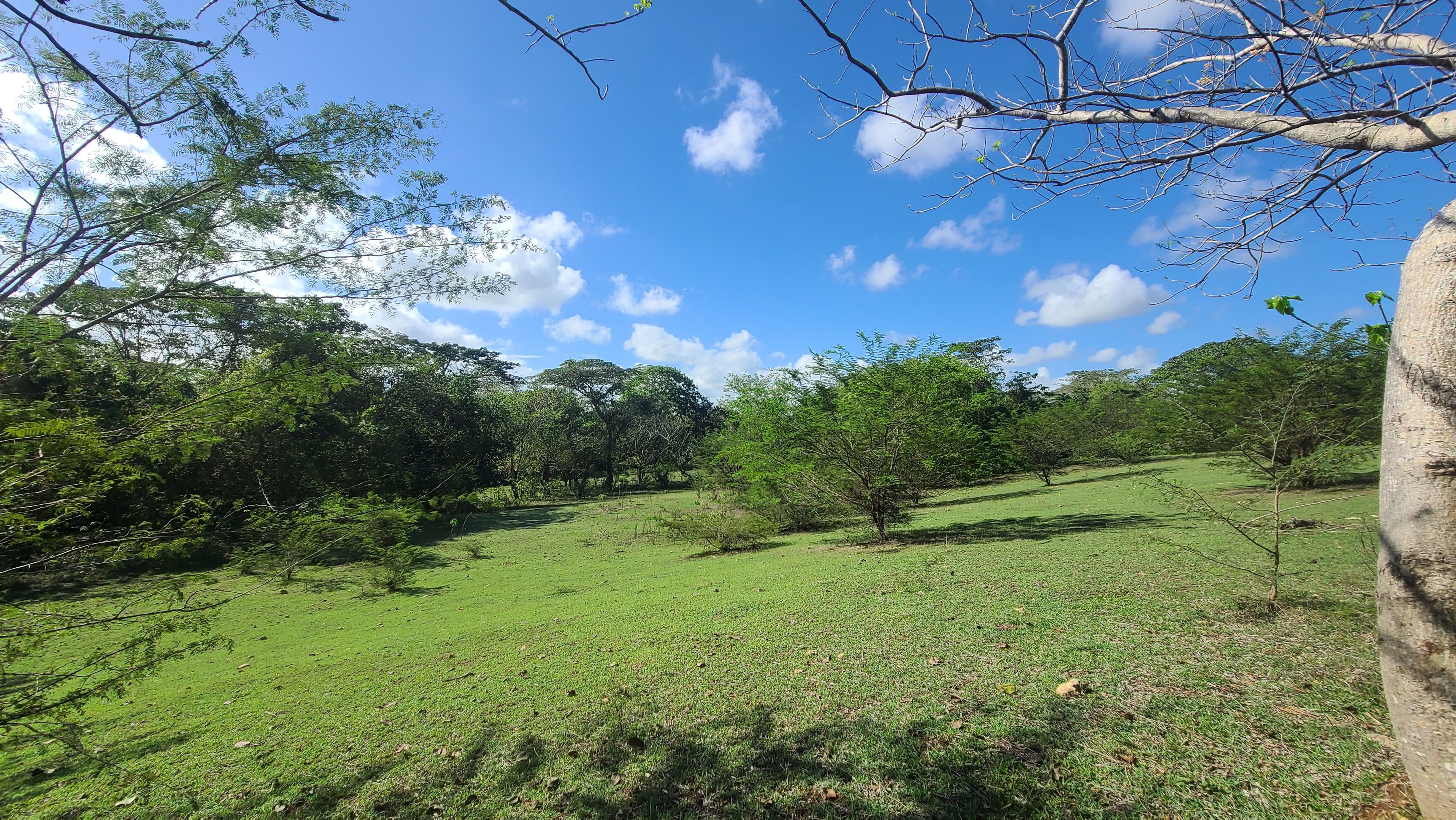 solares y terrenos - Terrenos en Venta, Quisqueya 7