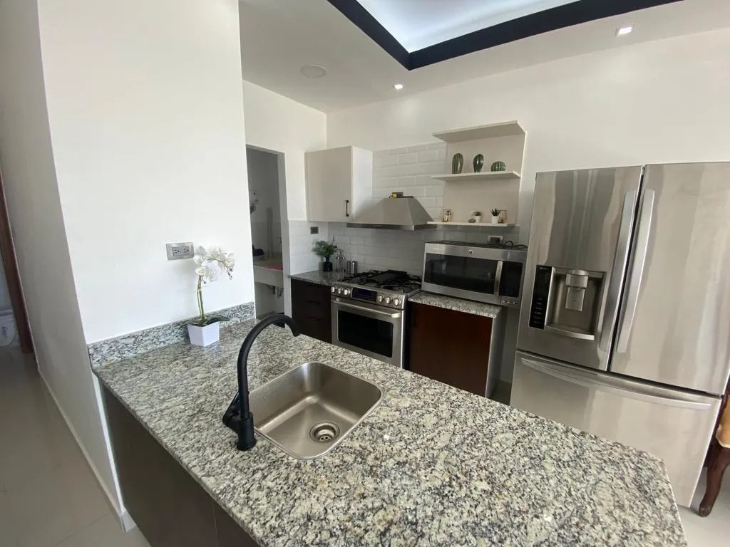 apartamentos - Alquiler de Apartamento Amoblado en Renacimiento  1