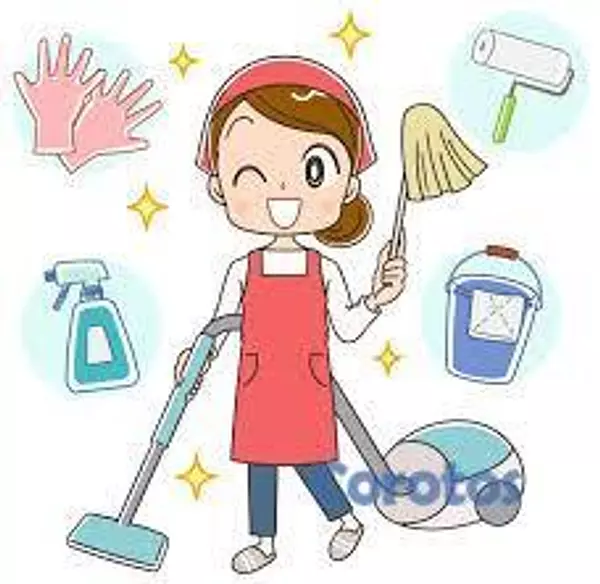 servicios profesionales - SERVICIOS DE LIMPIEZA A DOMICILIO SABADOS, DOMINGO 10