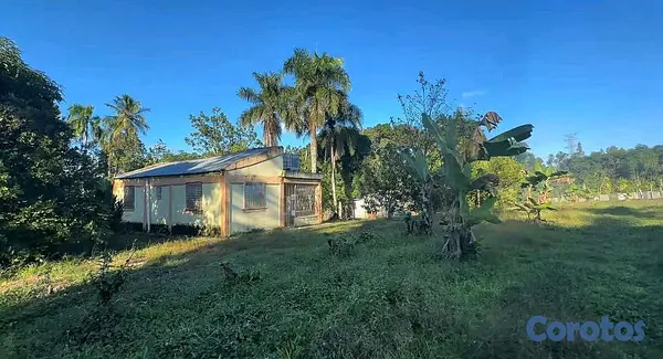 solares y terrenos - finca de 14 tareas en Monte Plata  3