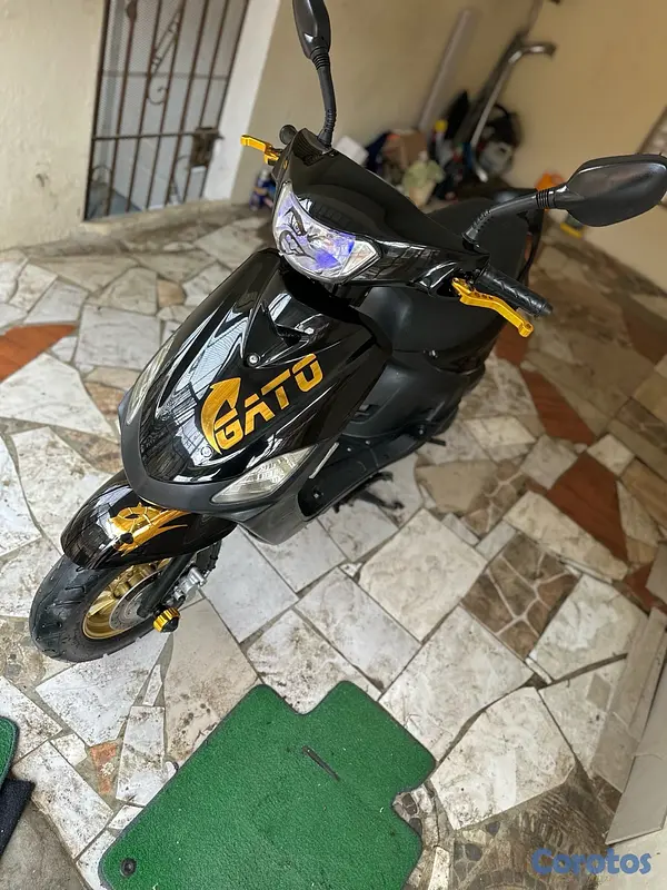 motores y pasolas - GATO 125 SPORT 2025 7
