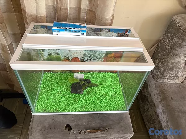 animales y mascotas - Pecera de 13 galones  3