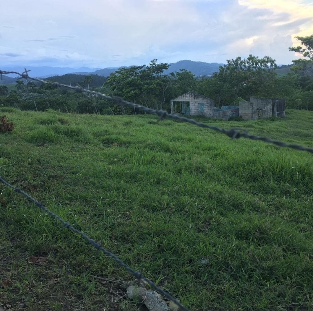 solares y terrenos - terreno en jarabacoa  0