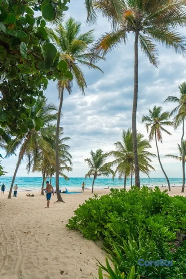 apartamentos - APARTAMENTO PUNTA CANA SWIN UP, PADEL, GOLF Y  CER 11