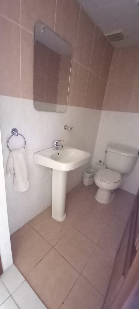apartamentos - ALQUILO APARTAMENTO EN GAZCUE 6