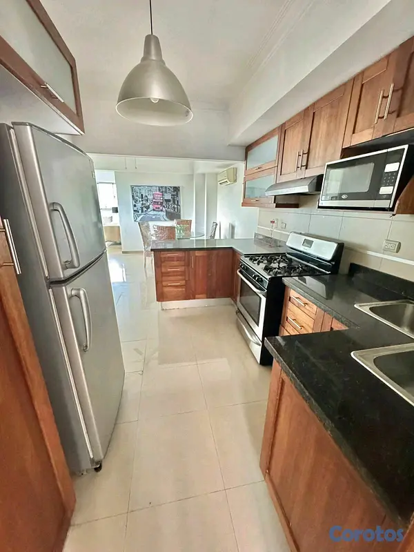 apartamentos - Apartamento amueblado en alquiler- Piantini  5