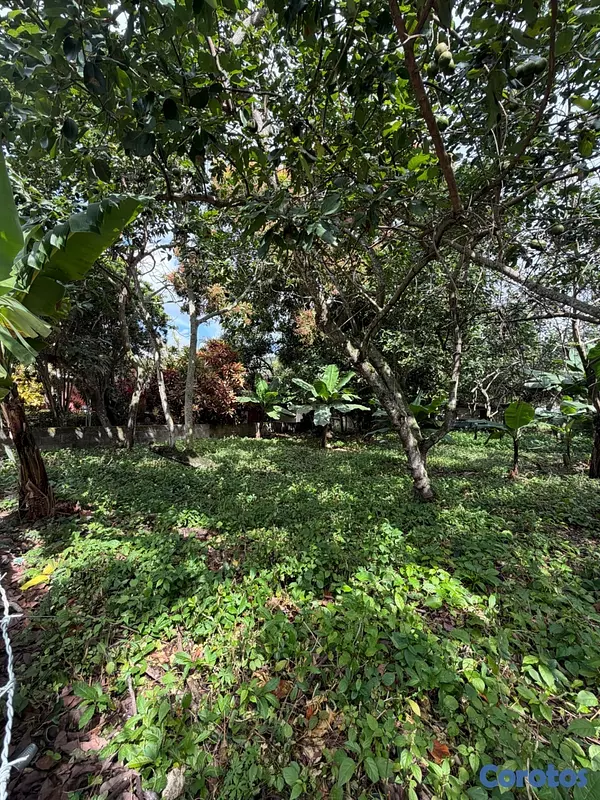 solares y terrenos - Excelente inversión Casa + Terreno, 448,000 M2 .
En corredor turístico !  12