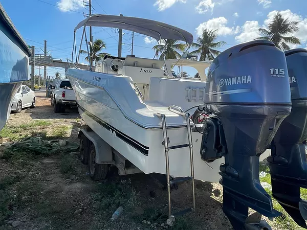 botes - Bote wercraf 23 pie  4