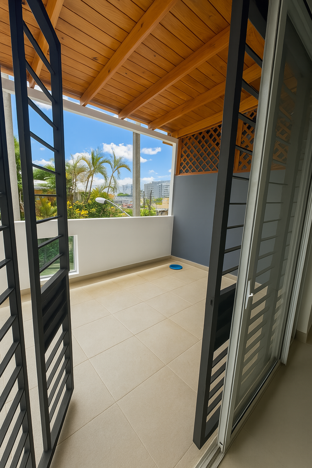 apartamentos - 2do PISO CON TERRAZA PRIVADA EN VIEJO ARROYO HONDO 3