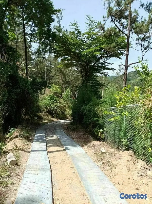 solares y terrenos - Terreno para proyecto ecoturistico en jarabacoa 4