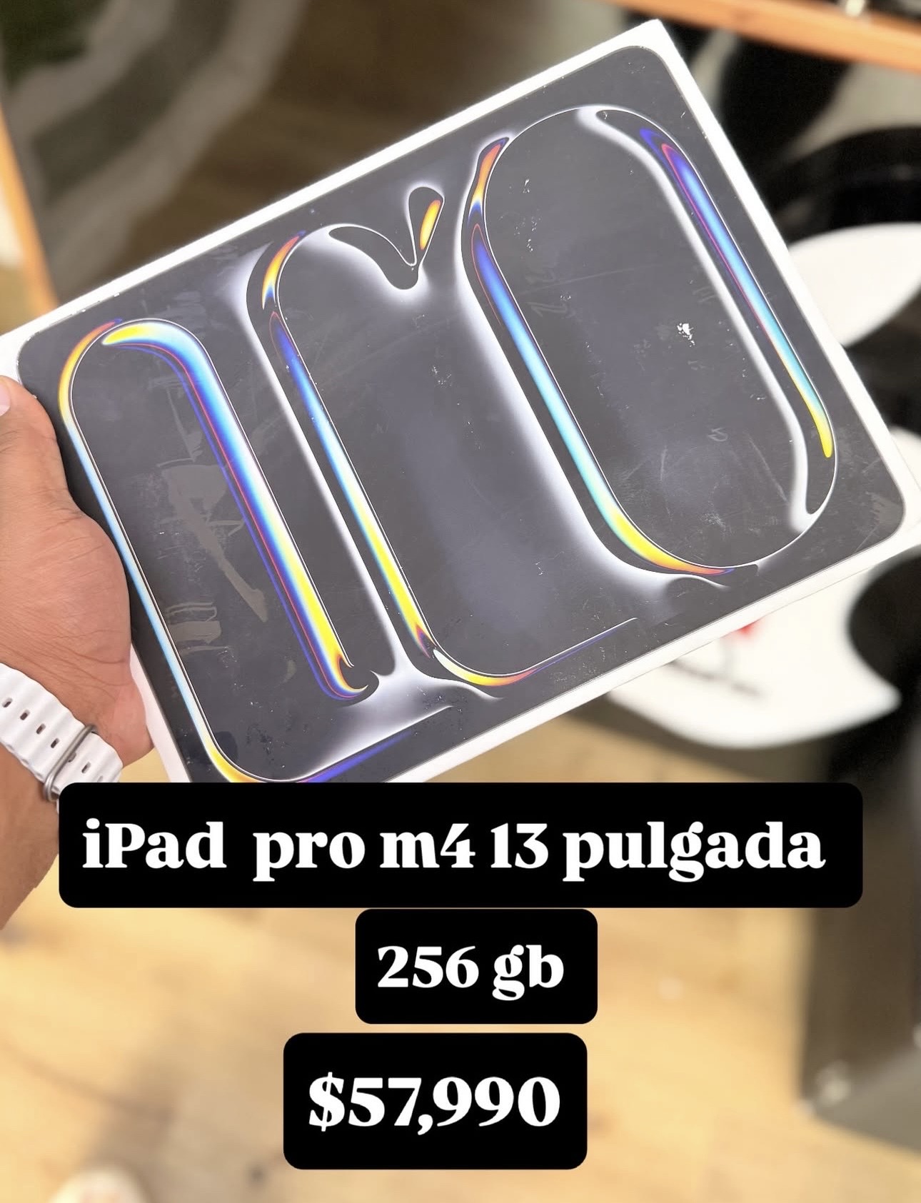 computadoras y laptops - IPad Pro m4 13pulgada 256gb 