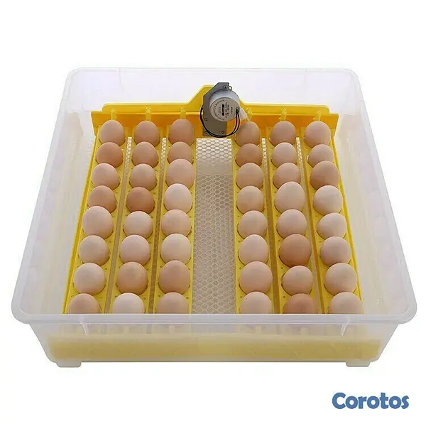 equipos profesionales - Incubadoras de 48 huevos digital automatico para Pollo Aves de corra 3
