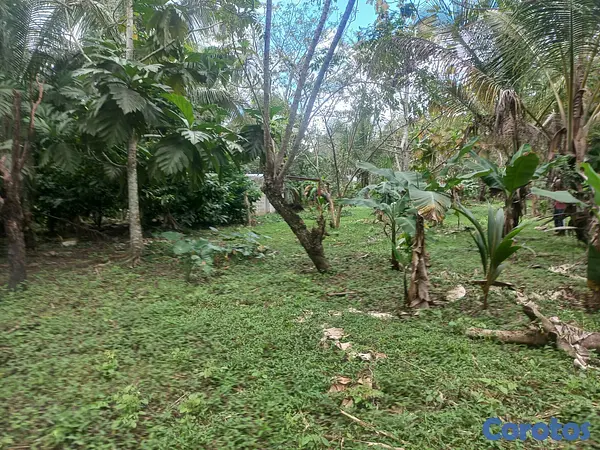 solares y terrenos - Venta finca 2