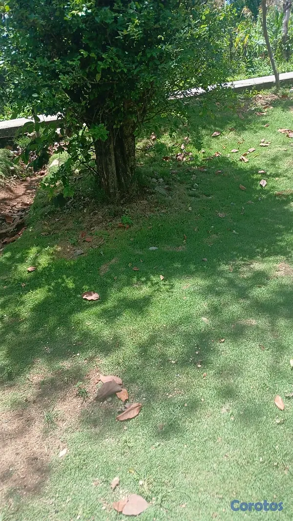 casas - Se vende mejora de madera en san Cristóbal 3