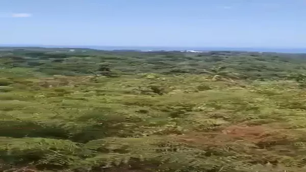 solares y terrenos - Terrenos en Las Terrenas 2
