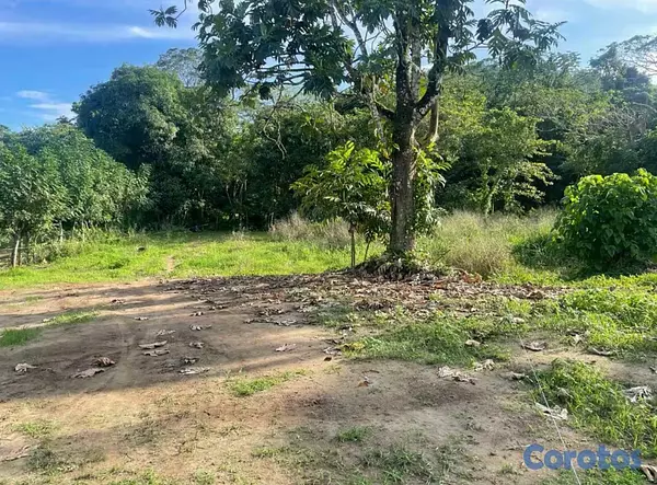 solares y terrenos - Venta solar de 1,111 metros – Piedra Blanca Bonao 3