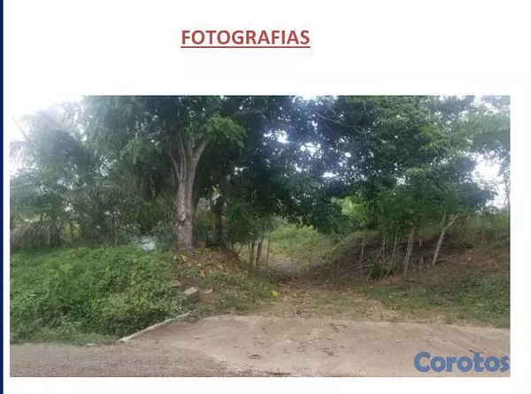 solares y terrenos - En Venta Gran Solar en Pedro Brand Batey Palamara 3