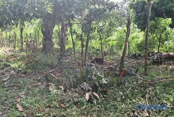 solares y terrenos - Terreno Ecoturístico Bonao Los Quemados 8