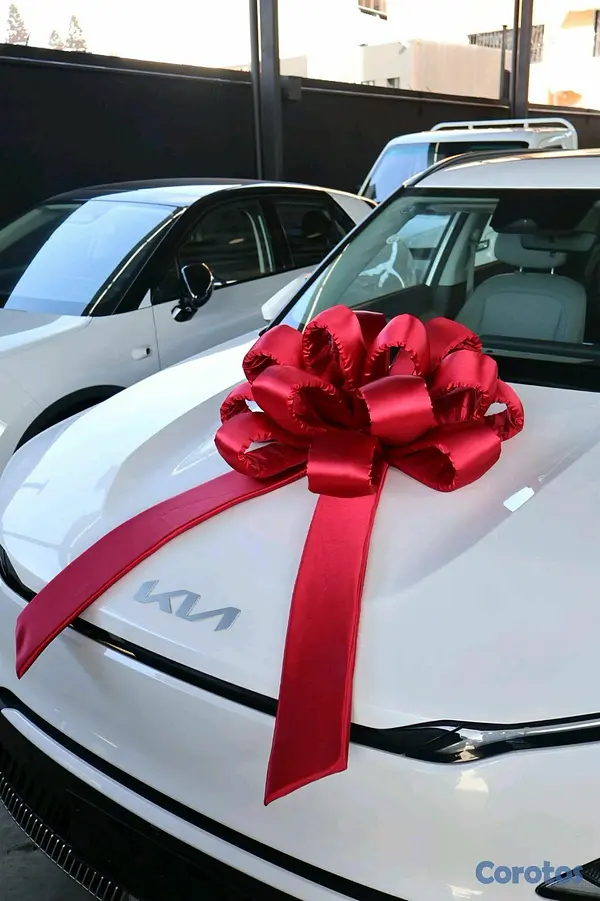 accesorios para vehiculos - lazos exclusivos para vehículos
 2