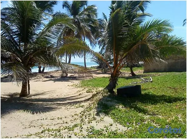 solares y terrenos - Vendo 1.5 Millón de Mts.2 CON PLAYA en UVERO ALTO  6