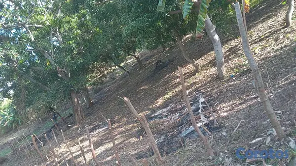 solares y terrenos - tremenda oportunidad terreno en San Cristóbal  2