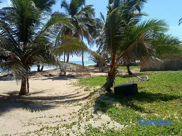 solares y terrenos - Gran Solar de Playa Uvero Alto con documentos  6