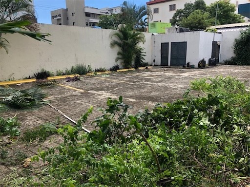 oficinas y locales comerciales - Amplio local en Naco 683 m 1