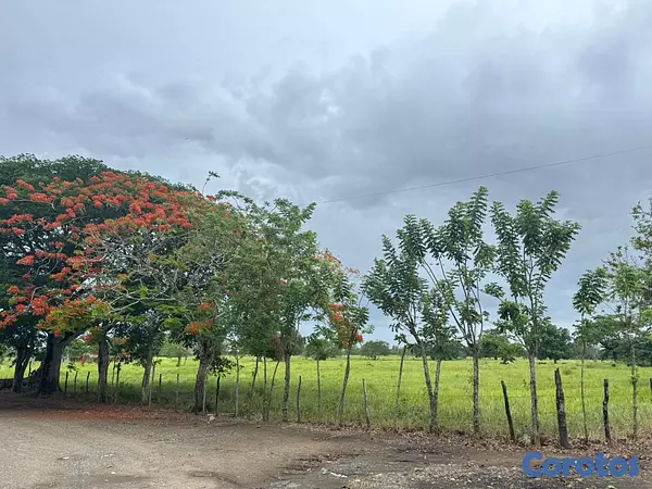solares y terrenos - Finca Ganadera en Cotui de 800 tareas  2
