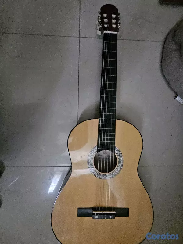 instrumentos musicales - guitarra coral 2