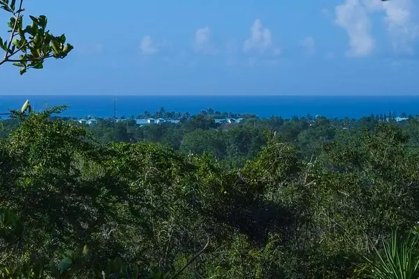 solares y terrenos - VENTA SOLARES EN BAHAHIBE - ZONA COSTERA DE REPÚBLICA DOMINICANA 4